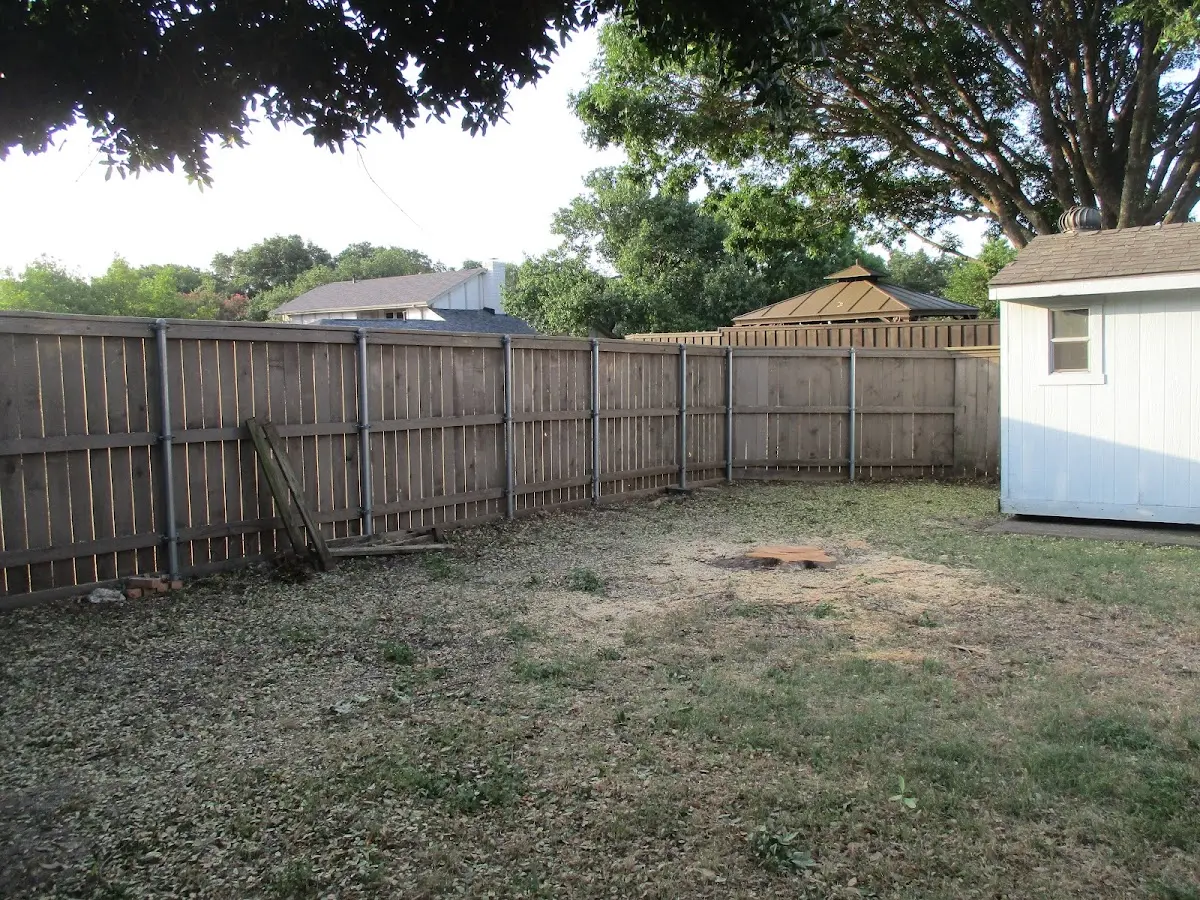 Cleared yard after professional tree removal in Leadore